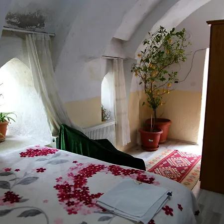 Guen Isigi Guzelyurt