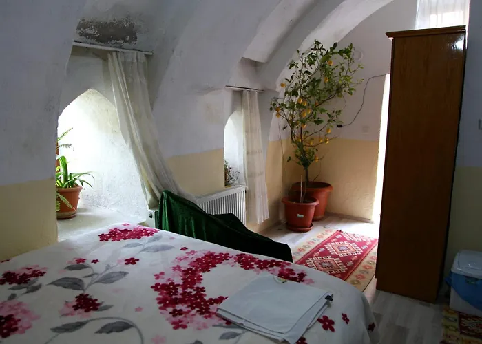 Guen Isigi Guzelyurt